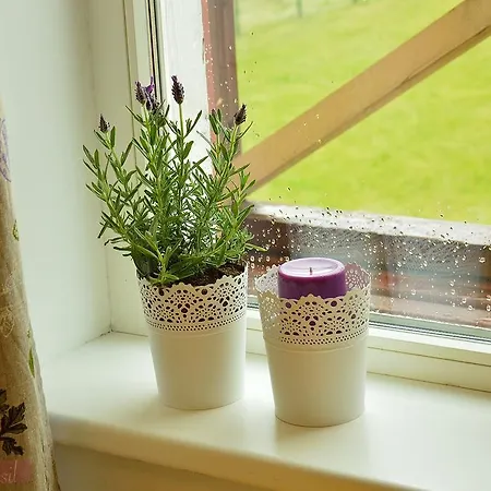 Lavandula Svečių namai