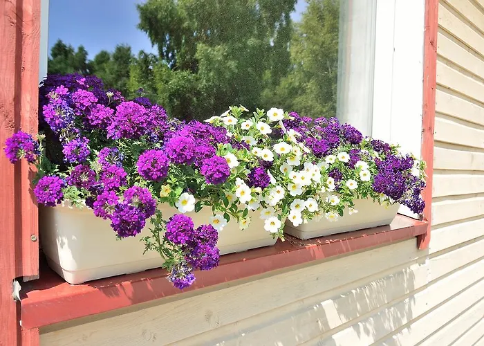 Lavandula בית הארחה