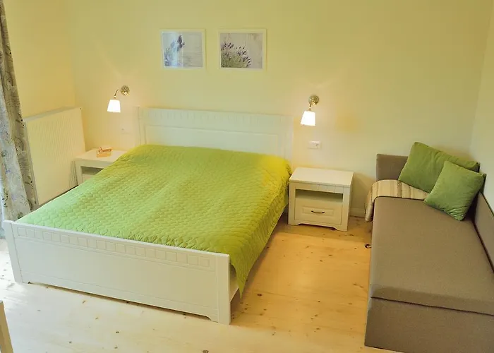 Lavandula פלאנגה