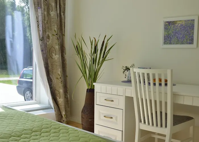 Lavandula פלאנגה