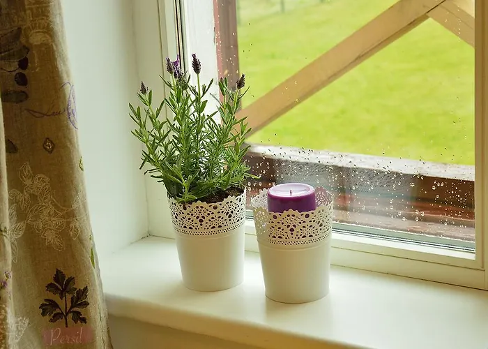 Lavandula בית הארחה